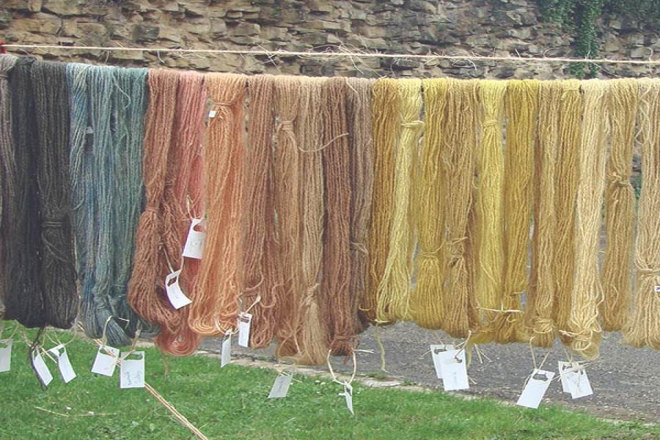 Herbal Dyeing Experience